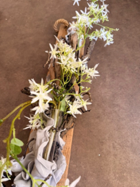 Stoere wanddecoratie