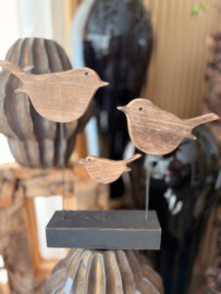 vogels op stander
