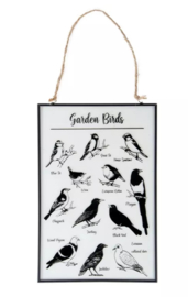 Esscher glazen vogel prent