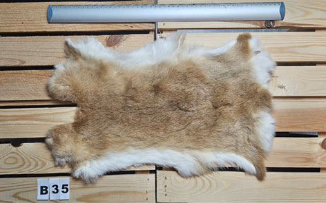 Konijnenvacht - 100% NATUURLIJK - licht bruin gemarmerde kleur