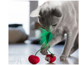 Petstages gebitsverzorging - Dental Cherries met catnip