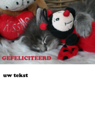 Kitten pakket Medium (voorbeeld)