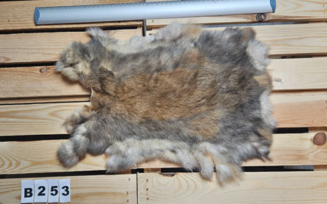 Konijnenvacht - 100% NATUURLIJK - licht bruin gemarmerde kleur