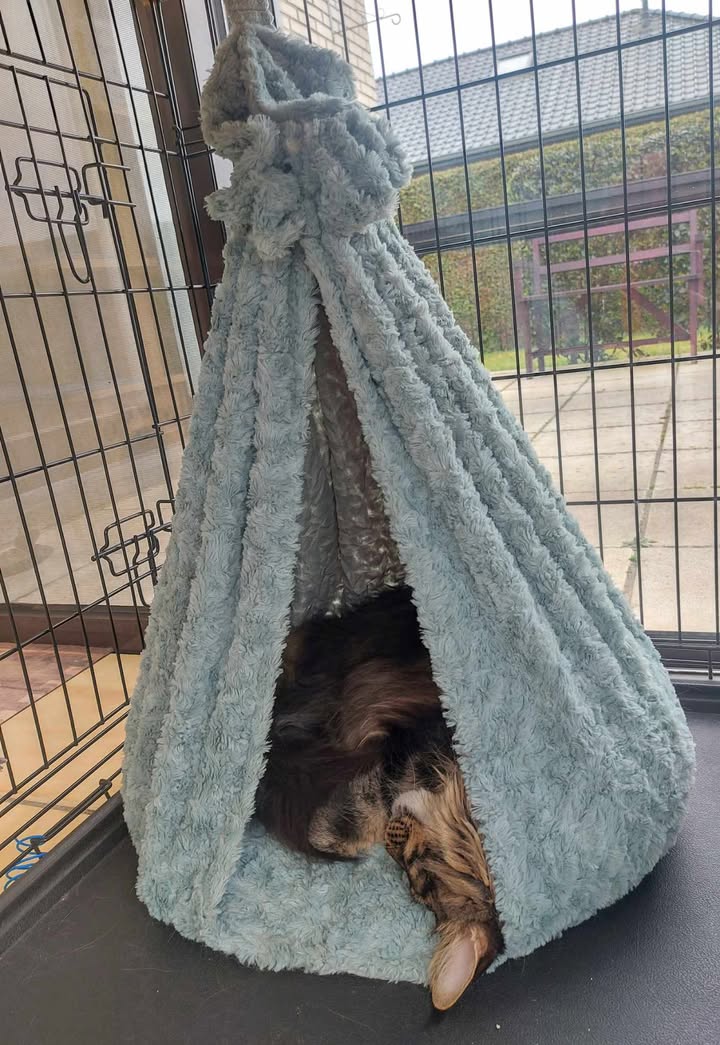 Tent knuffelstof  in verschillende kleuren