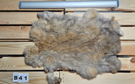 Konijnenvacht - 100% NATUURLIJK - licht bruin gemarmerde kleur