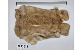 Konijnenvacht - 100% NATUURLIJK - licht bruin gemarmerde kleur