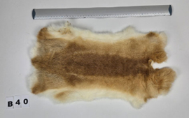 Konijnenvacht - 100% NATUURLIJK - licht bruin gemarmerde kleur