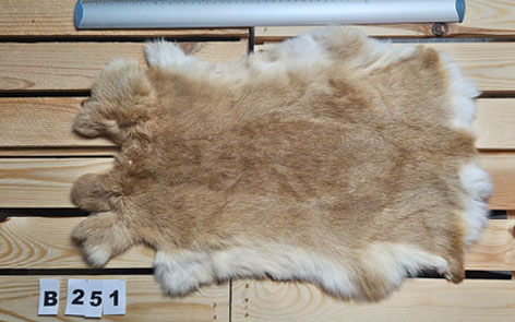 Konijnenvacht - 100% NATUURLIJK - licht bruin gemarmerde kleur
