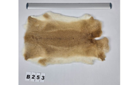Konijnenvacht - 100% NATUURLIJK - licht bruin gemarmerde kleur