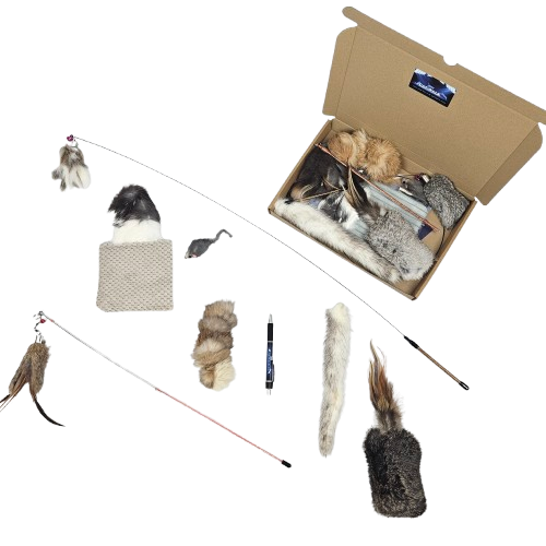 Katten Jachtspeeltjes Zomerpakket aanbieding