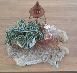 Konijnenvacht - 100% NATUURLIJK - grijze kleur
