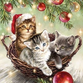 Servetten katten kerstmis