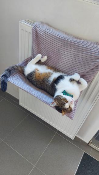 Hoes radiator verwarming hangmat Losse | CAT-WALK.NL