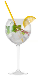 HappyGlass - Kunststof Gin Tonic glas - 2 stuks