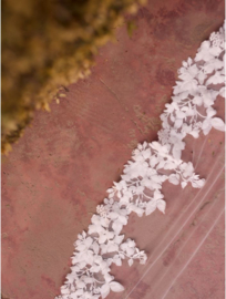 Sluier | Bianco Evento ~ S533