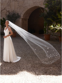 Sluier | Bianco Evento ~ S501