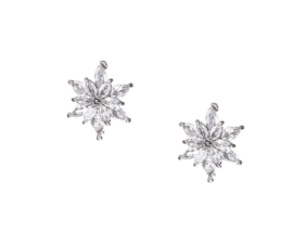 Oorbellen | G.Westerleigh ~ ER7222