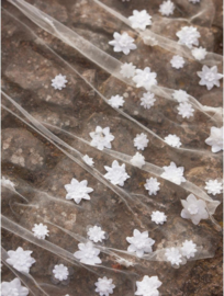 Sluier | Bianco Evento ~ S501