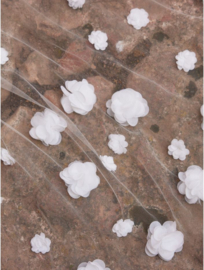 Sluier | Bianco Evento ~ S517