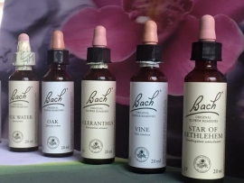 Bach Bloesem mix op maat 50 ml