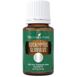 Young Living Eucalyptus Globulus olie per druppel