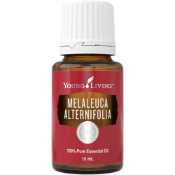 Young Living Melaluca Aternifolia (Tea Tree) olie per druppel