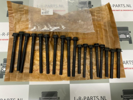 DA2005G | Kopbout set 300Tdi