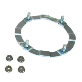 RNJ500010 | Borg ring veer