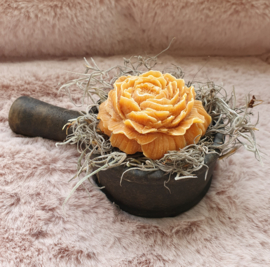 Amberblok giftset