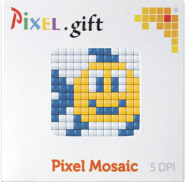 Pixel XL promotiedoosje vis