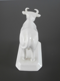 Delftswitte koe,  Zenith Gouda