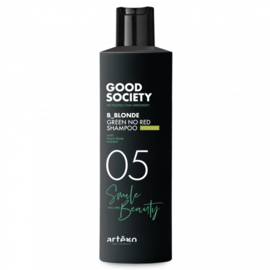 Artégo 05 B_Blonde Green No Red Shampoo 250ml