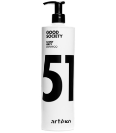 Artégo 51 Shiny Grey Shampoo 1000ml