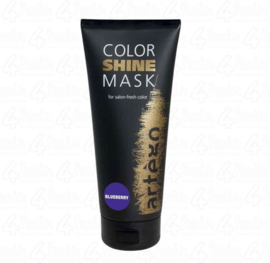 Artégo Color Shine Mask Blueberry 200ml