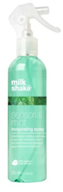 MINT SPRAY haarlotion  250ml