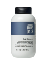 01.3 Hydrate Shampoo 250ml