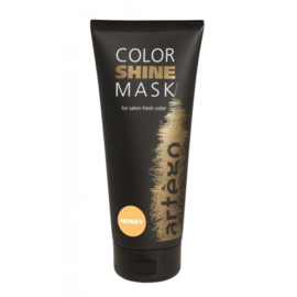 Artégo Color Shine Mask  Honey200ml