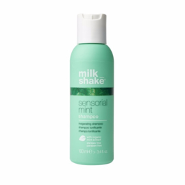 milk_shake  sensorial mint