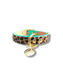 LEOPARD PRINT DOG COLLAR TURQUOISE
