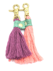 TASSEL