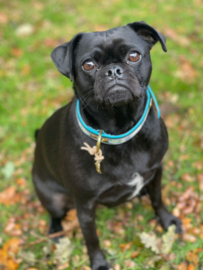 BLAU TÜRKIS AZTEKENHALSBAND