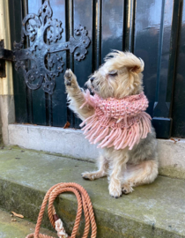 HONDEN SNOOD WOLMIX BALLERINA ROZE