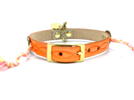 FESTIVAL DOG COLLAR