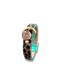 LEOPARD PRINT DOG COLLAR TURQUOISE