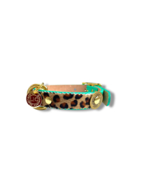 LEOPARD PRINT DOG COLLAR TURQUOISE