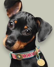 DESIGNER DOG COLLAR