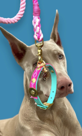 NEON PINK TURQUOISE DOG COLLAR