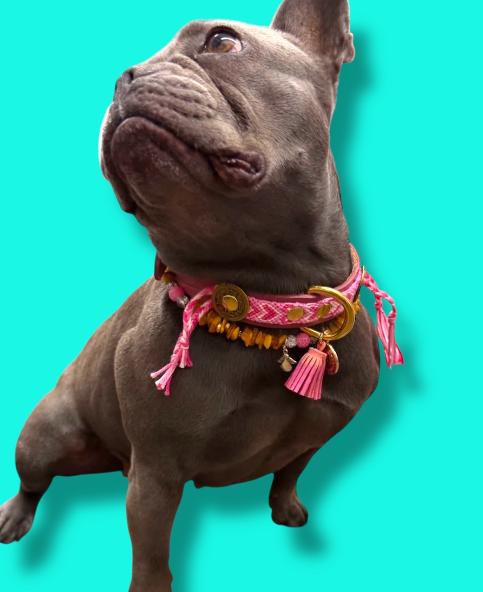 BEBÉ COLLARES