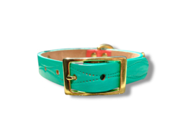 TURQUOISE ORANJE  HALSBAND