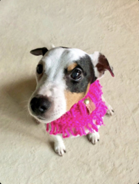 DOG SNOOD NEON PINK